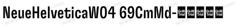 NeueHelveticaW04 69CmMd字体转换